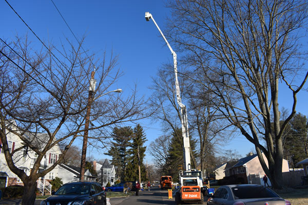 One of Randy's bucket trucks that extends up to 110 feet into the air! Imagine the trees in Metuchen, NJ we could cut for you.