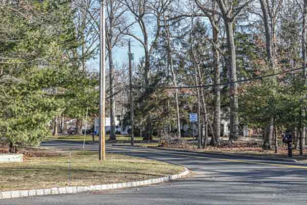 Marlboro, NJ - Randy's Pro Tree Service