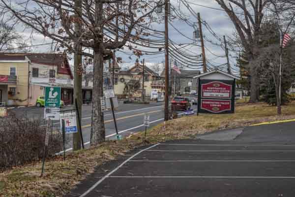 Martinsville, NJ - Randy's Pro Tree Service