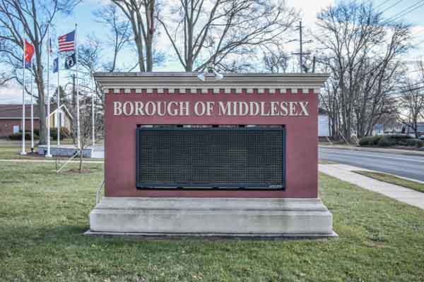 Middlesex, NJ - Randy's Pro Tree Service