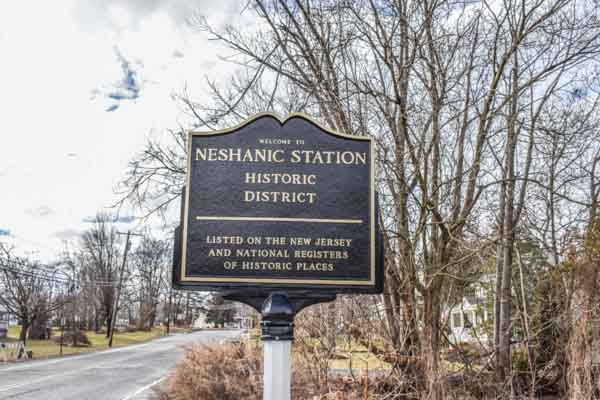Neshanic Station, NJ - Randy's Pro Tree Service