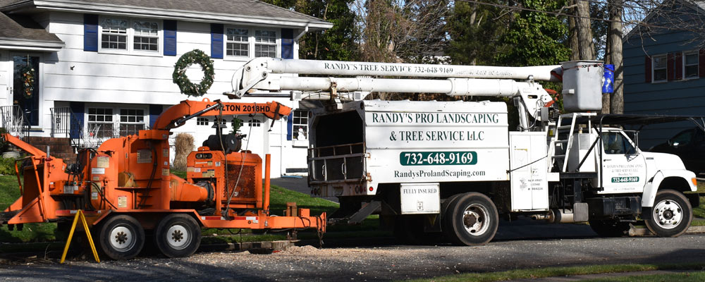 Randy's Pro Tree Service serving  Hopatcong, NJ, ready to begin a job.