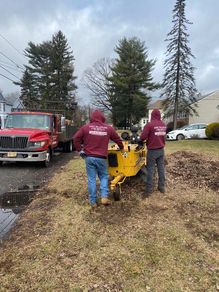 Randy's Pro Tree Service is grinding a stump with a stump grinder. We call 811 before stump grinding in New Providence.