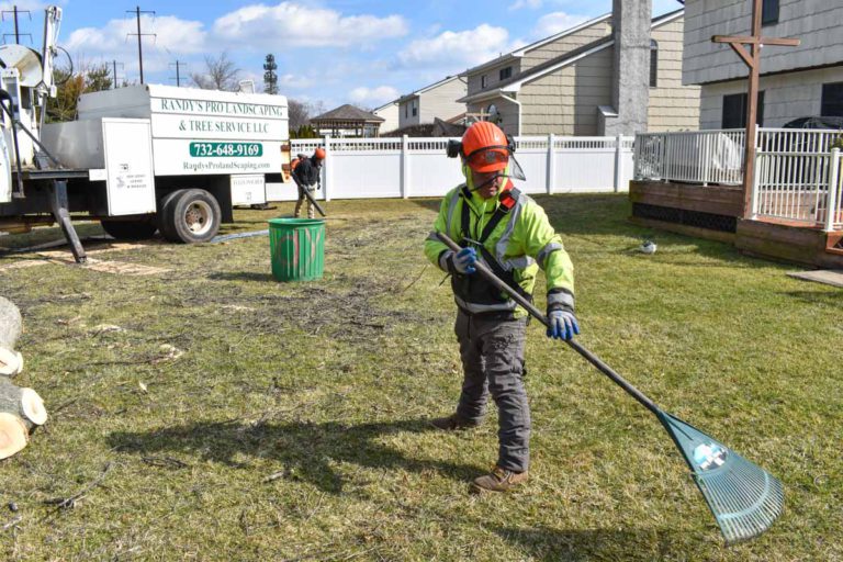 Gallery NJ Tree Service, Landscaping and Design Build