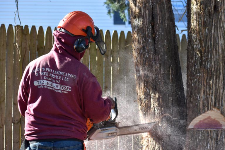 Tree Removal Pennsauken Nj