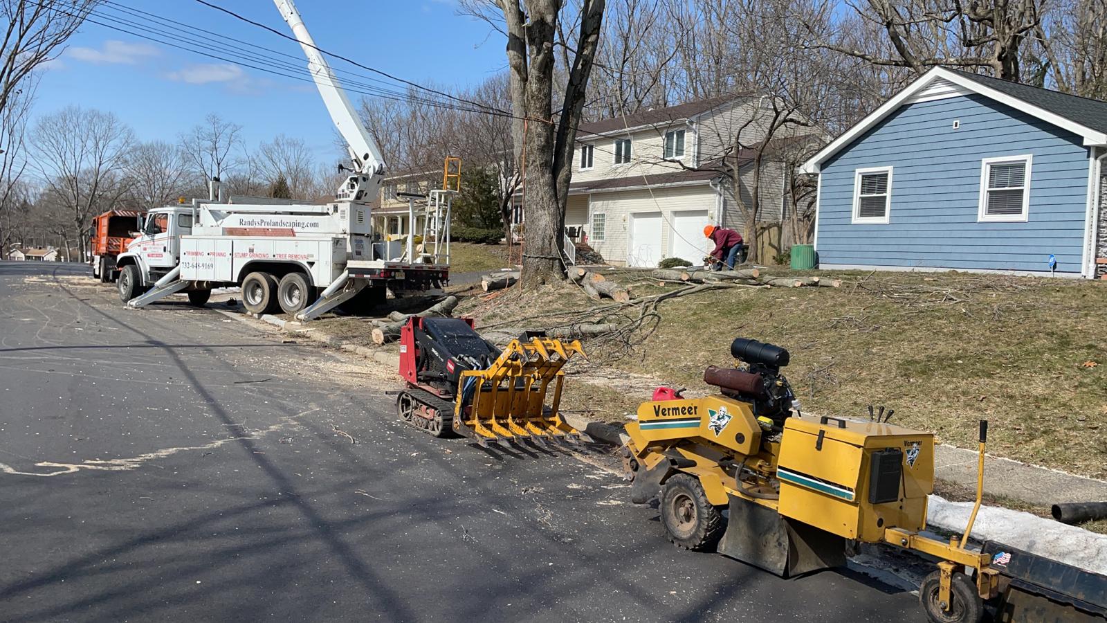 Tree Removal in East Brunswick,NJ