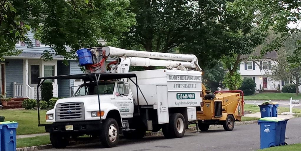 Tree Service in Hillsborough,NJ on Hoagland Ct