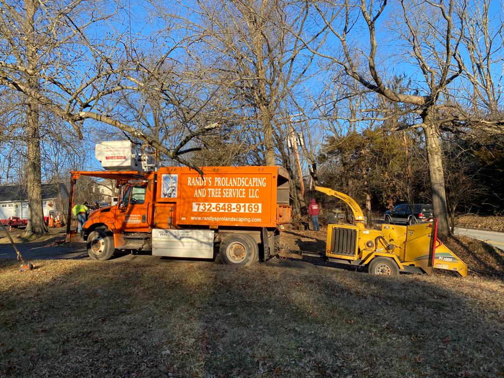 Tree Removal Service in Flemington,NJ