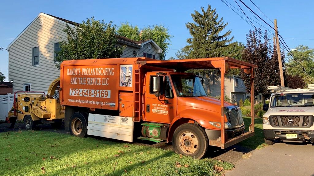Tree Service Job in middlesex