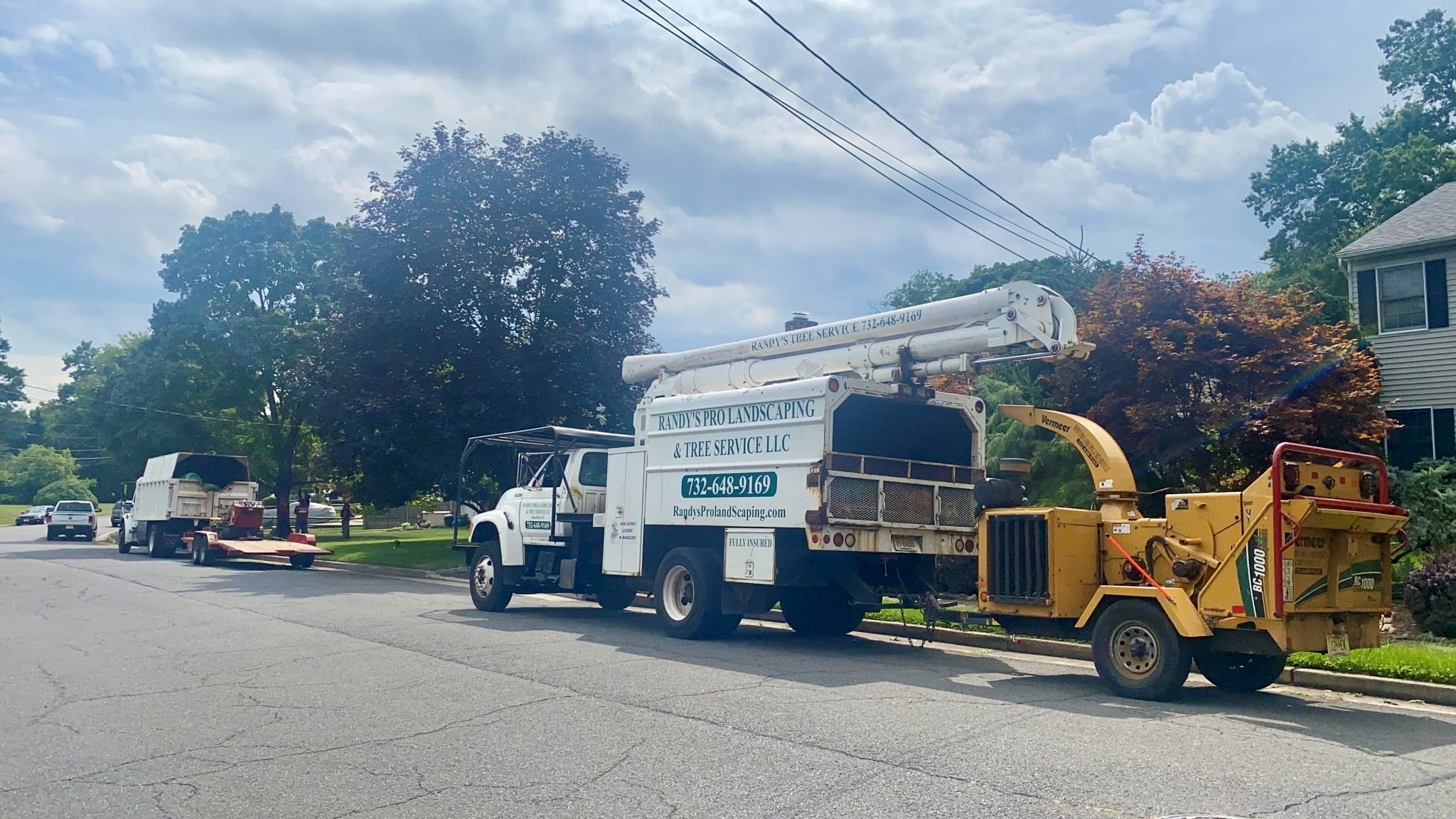 Tree Service in Middlesex,NJ on Beechwood Ave