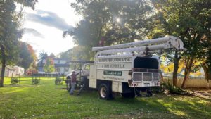 Tree Service in Franklin,NJ on Vermont Ave