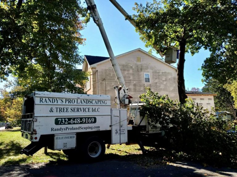 Tree Service Job in Franklin NJ Tree Service, Landscaping and Design