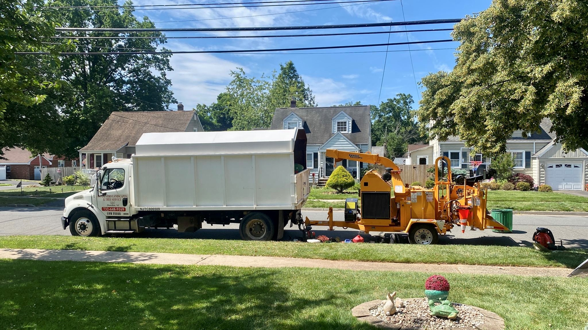 Tree Service in Middlesex,NJ on Fairview Ave