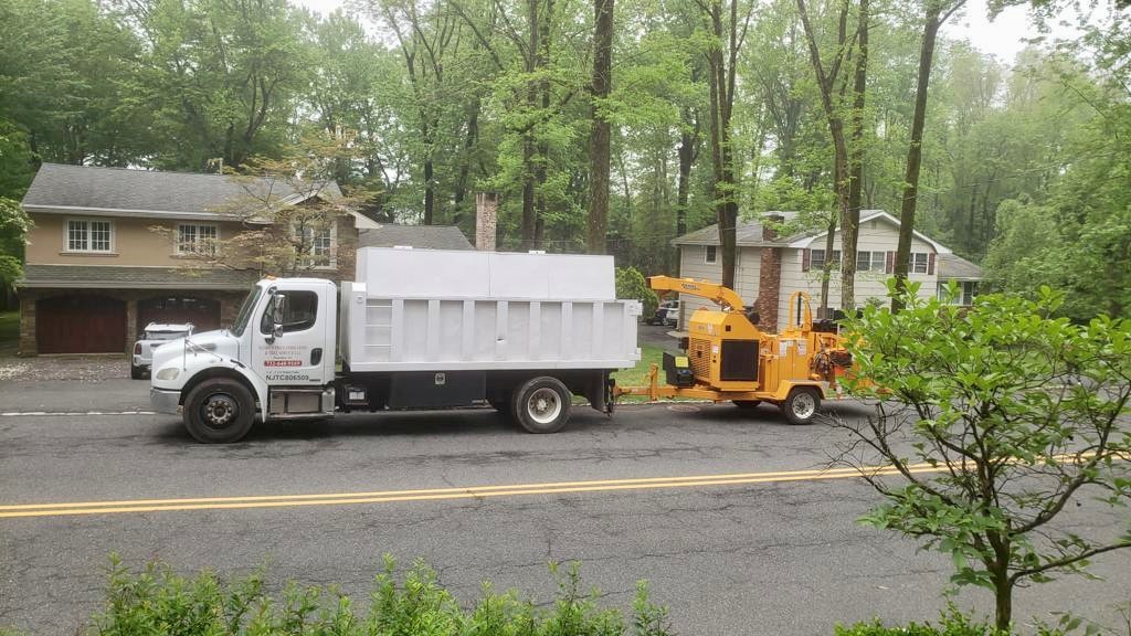 Tree Service in Warren,NJ on Old Smalleytown Rd