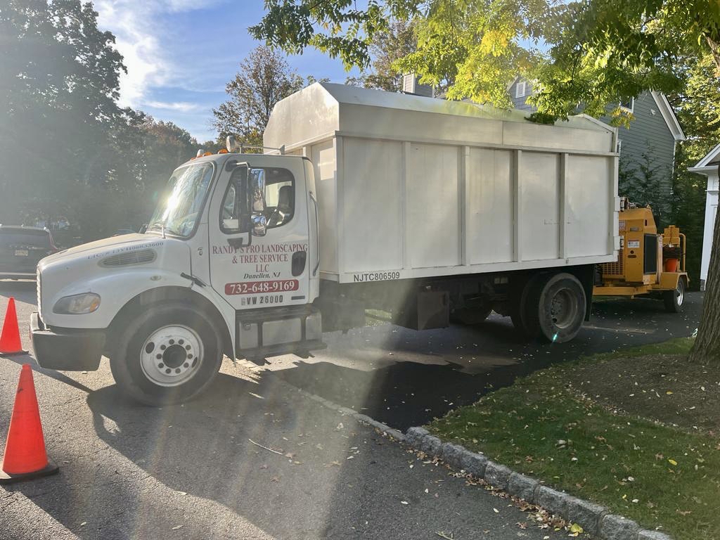 Tree Service in Chatham,NJ on Weston Ave