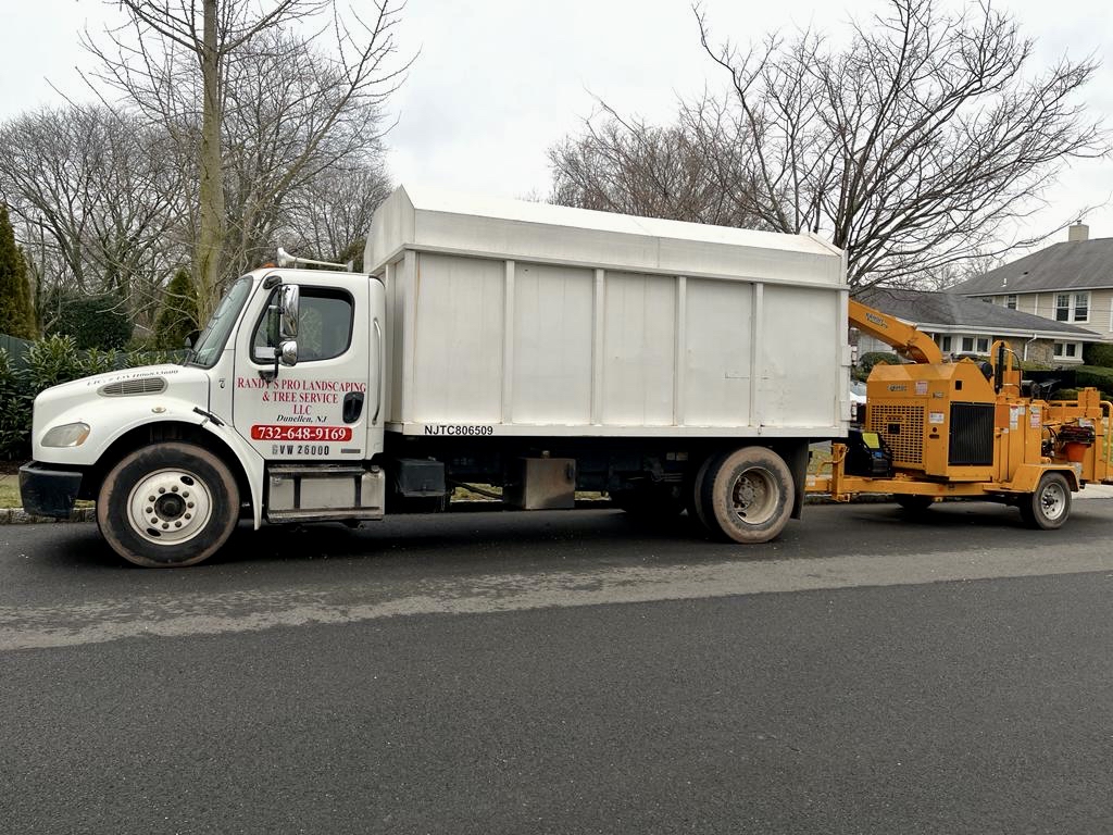 Tree Service in Somerville,NJ on Vanderveer Ave