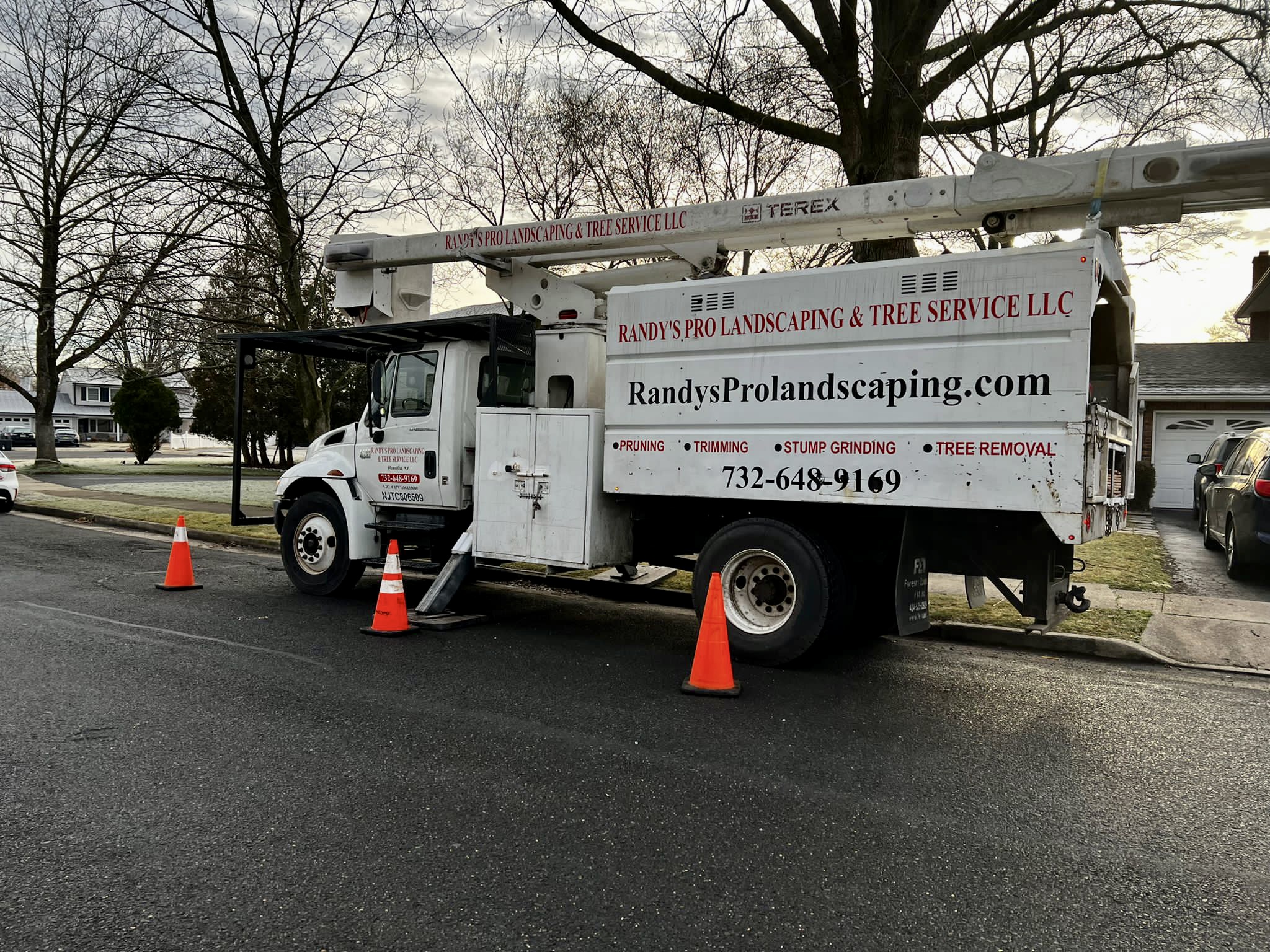 Tree Service Job in Middlesex