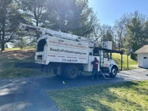 Tree Service in Flemington,NJ on Wells Rd
