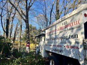 Tree Service in Branchburg,NJ on Lamington Rd
