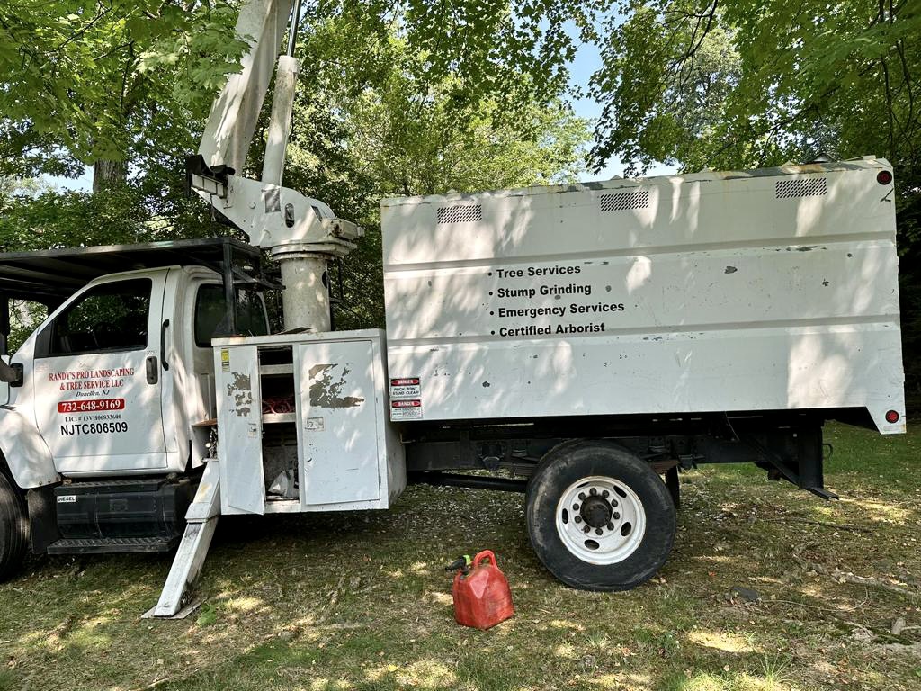 Tree Service in Bridgewater,NJ on Concord Dr