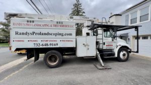 Tree Service in Middlesex,NJ on Clinton Ave