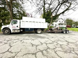 Tree Service Job in Clinton