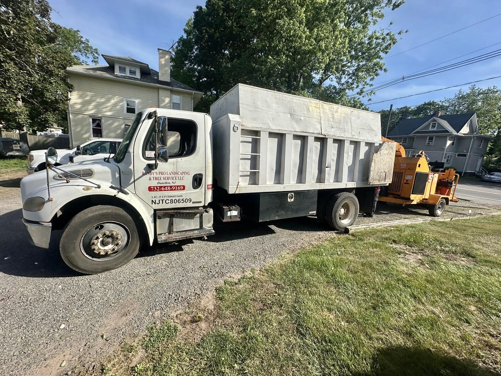 Tree Service Job in Dunellen