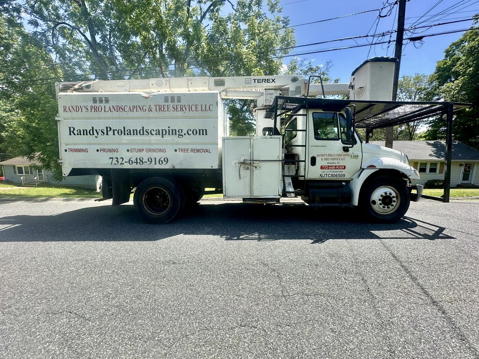 Tree Service Job in High Bridge