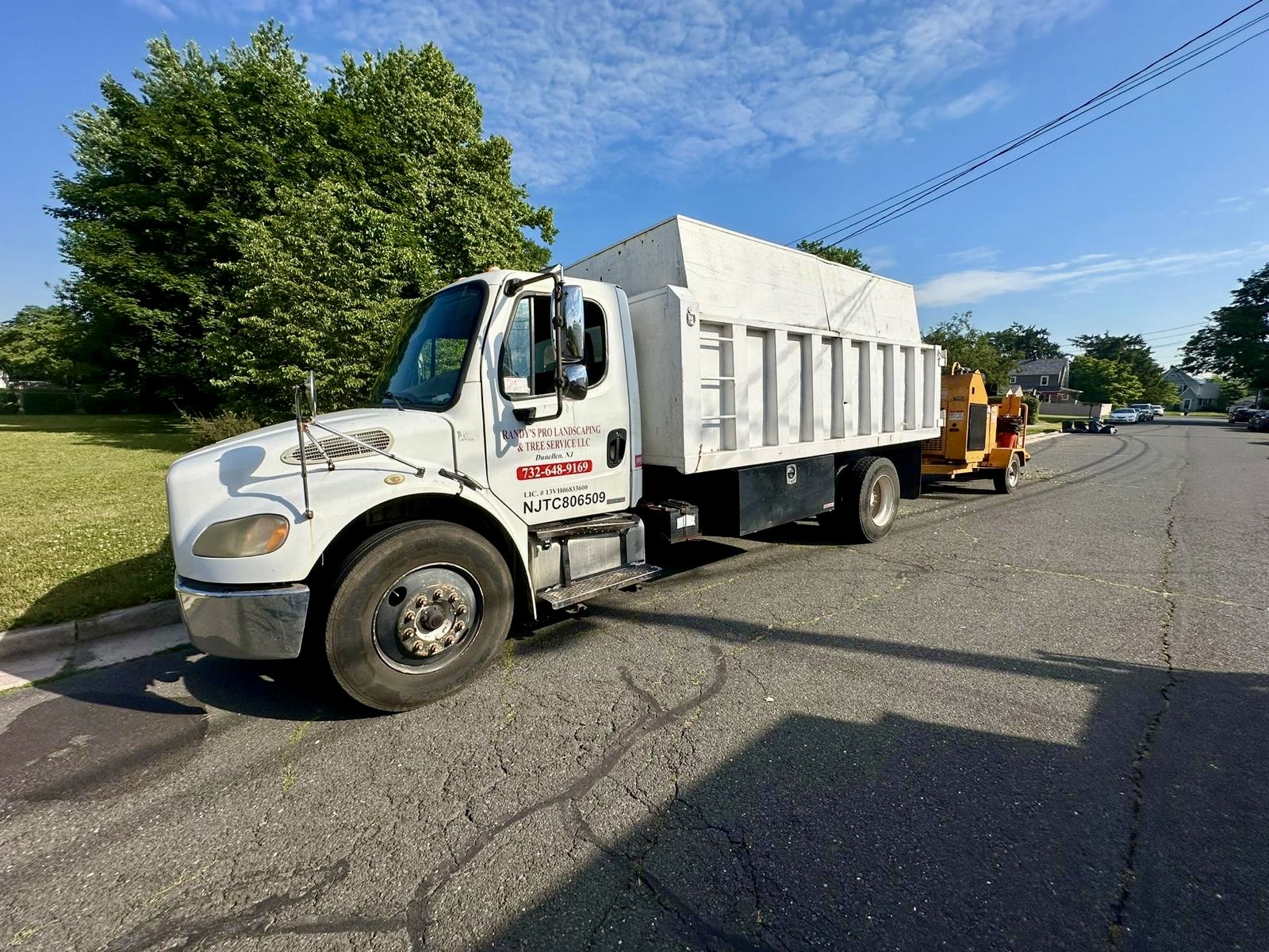 Tree Service Job in Middlesex