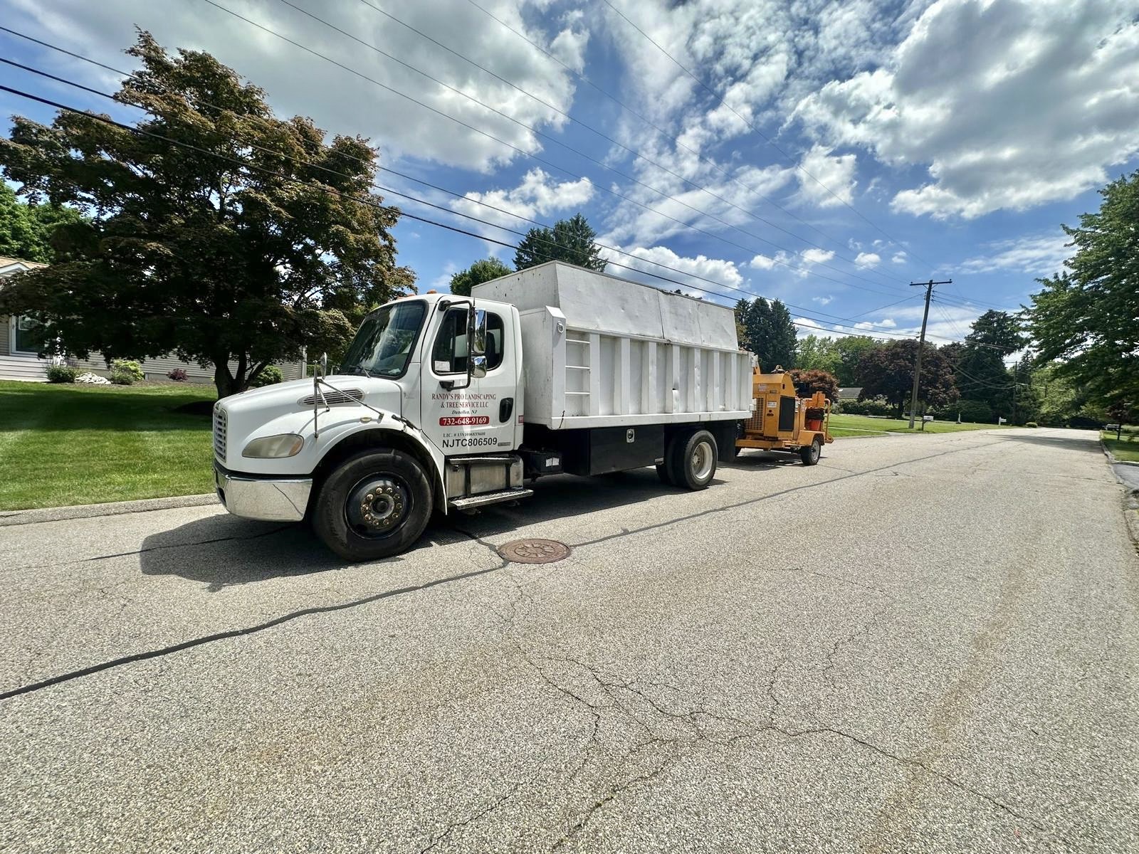 Tree Service Job in Readington