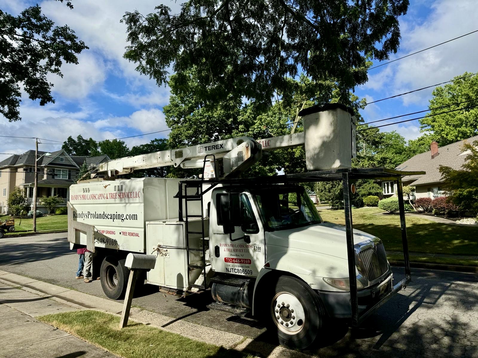 Tree Service Job in Edison