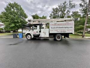 Tree Service Job in Metuchen