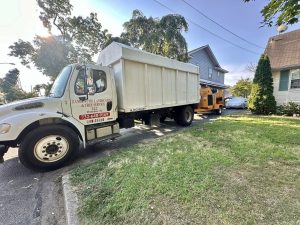 Tree Service Job in Middlesex