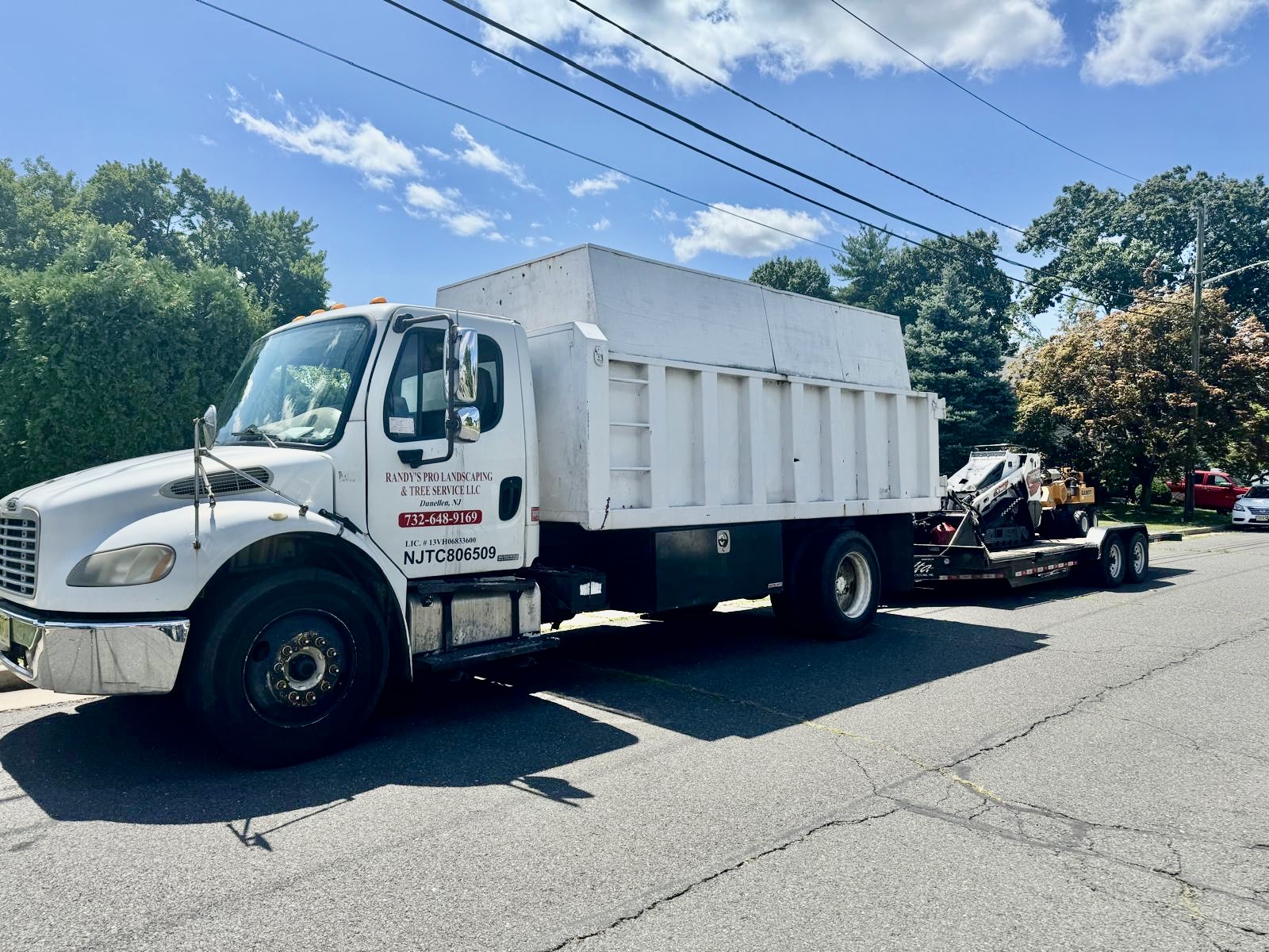 Tree Service Job in Middlesex