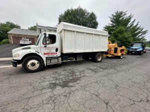 Tree Service Job in Piscataway