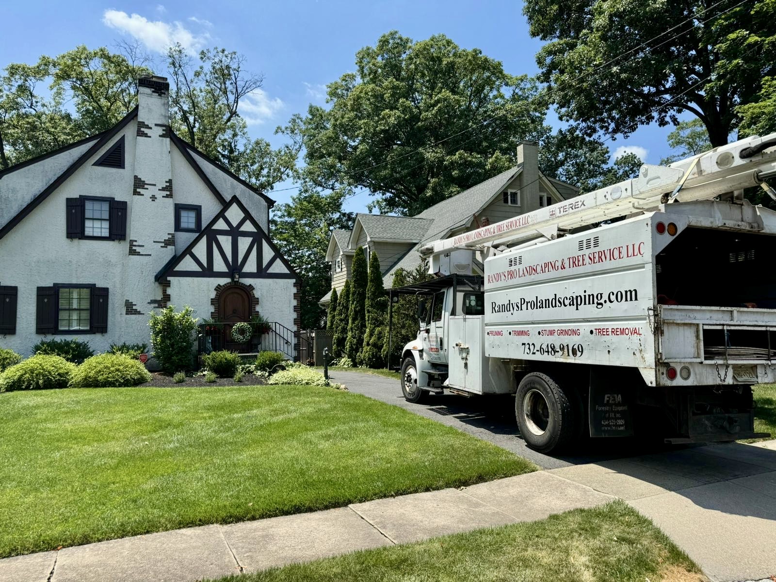 Tree Service Job in Westfield