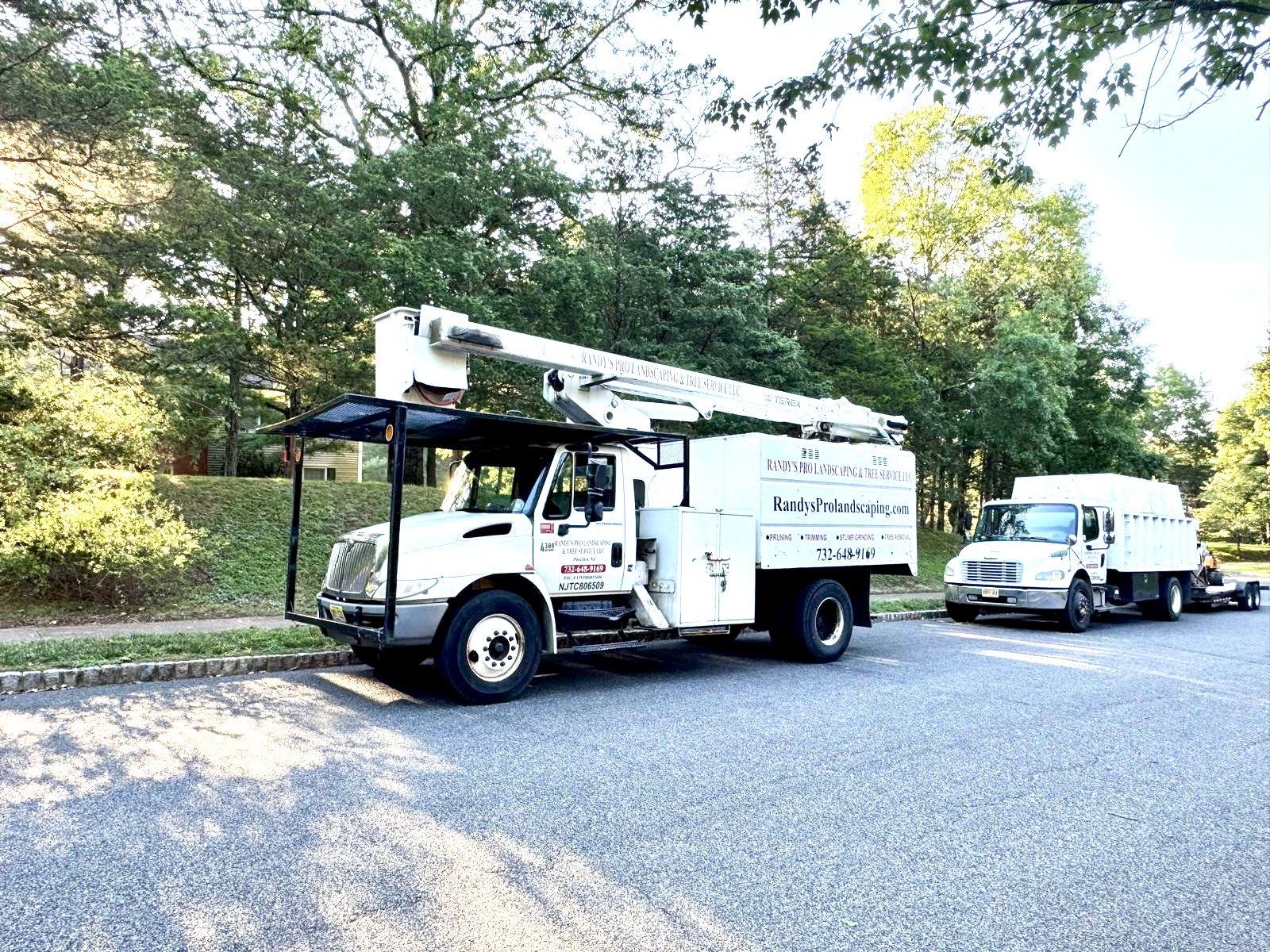 Tree Service Job in Branchburg