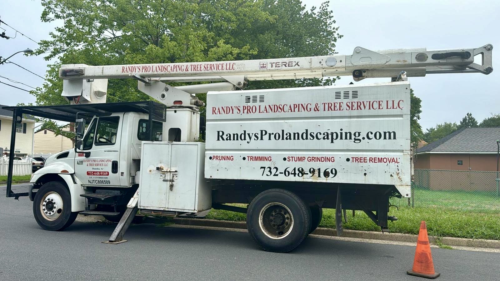 Tree Service Job in Edison