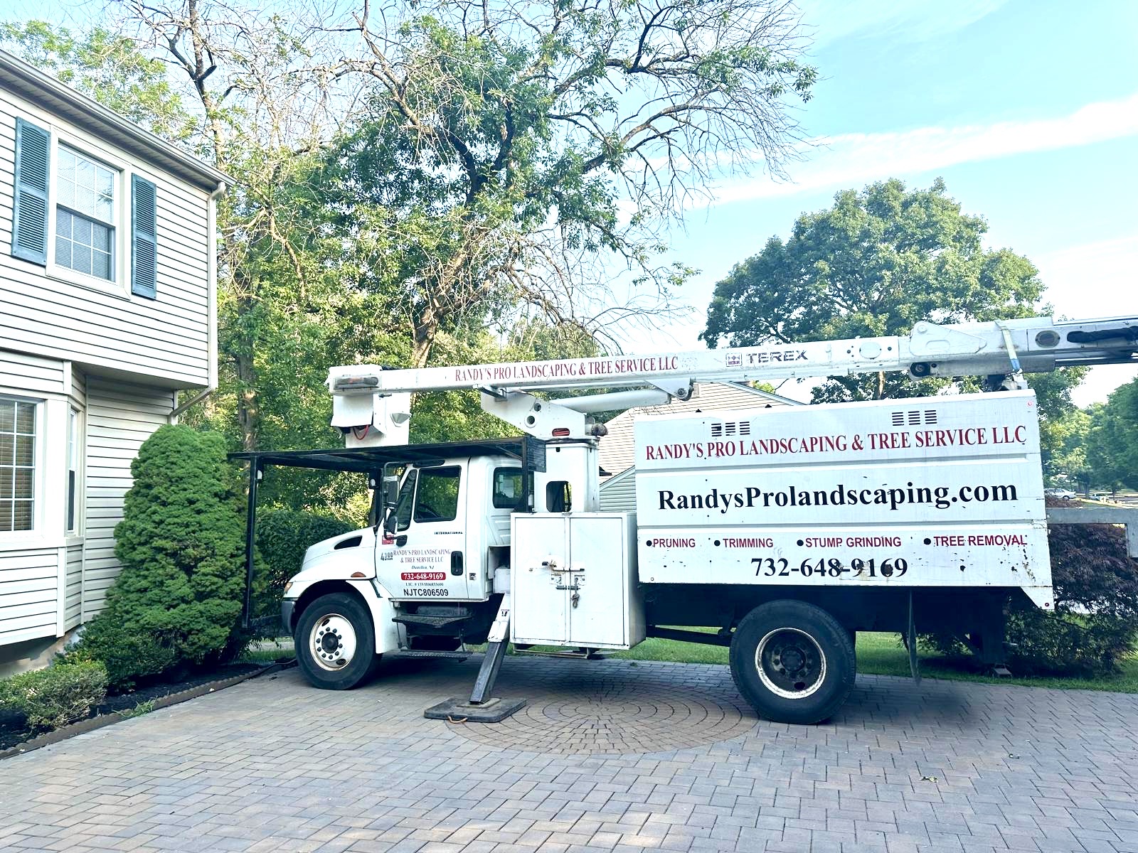 Tree Service Job in Flemington