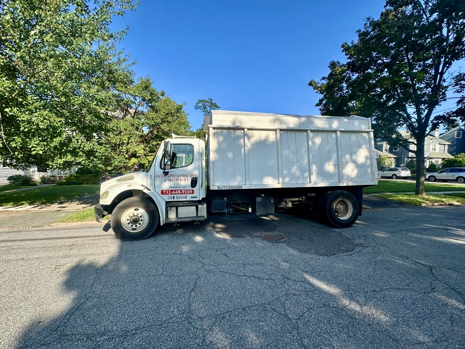 Tree Service Job in Maplewood