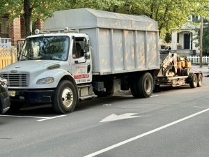 Tree Service Job in Metuchen