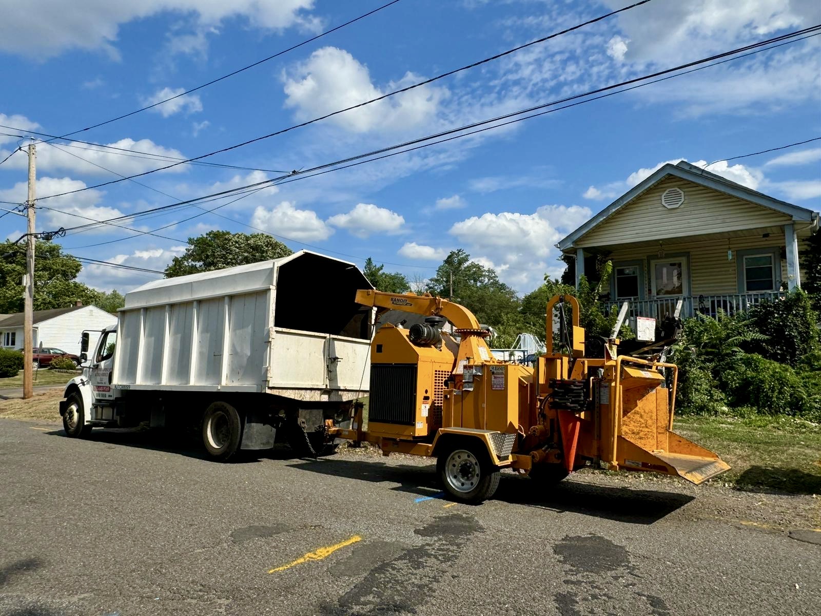 Tree Service Job in Piscataway