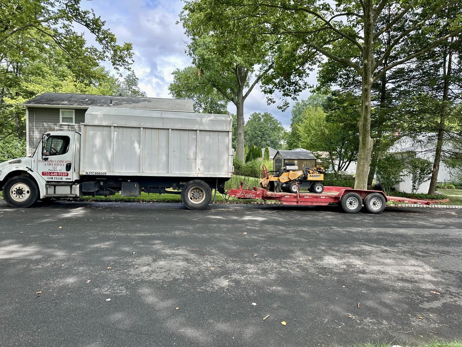 Tree Service Job in Westfield