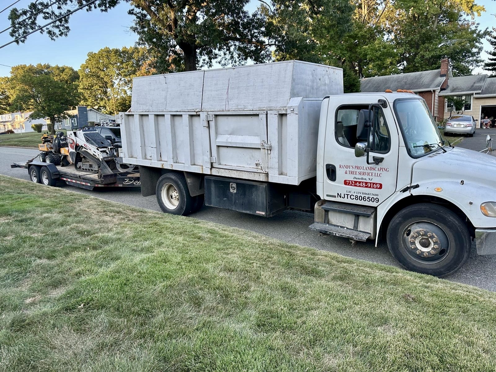 Tree Service Job in Colonia