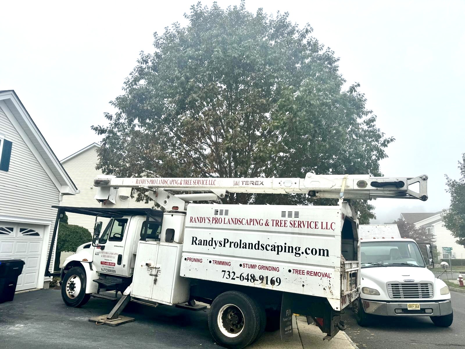 Tree Service Job in East Brunswick