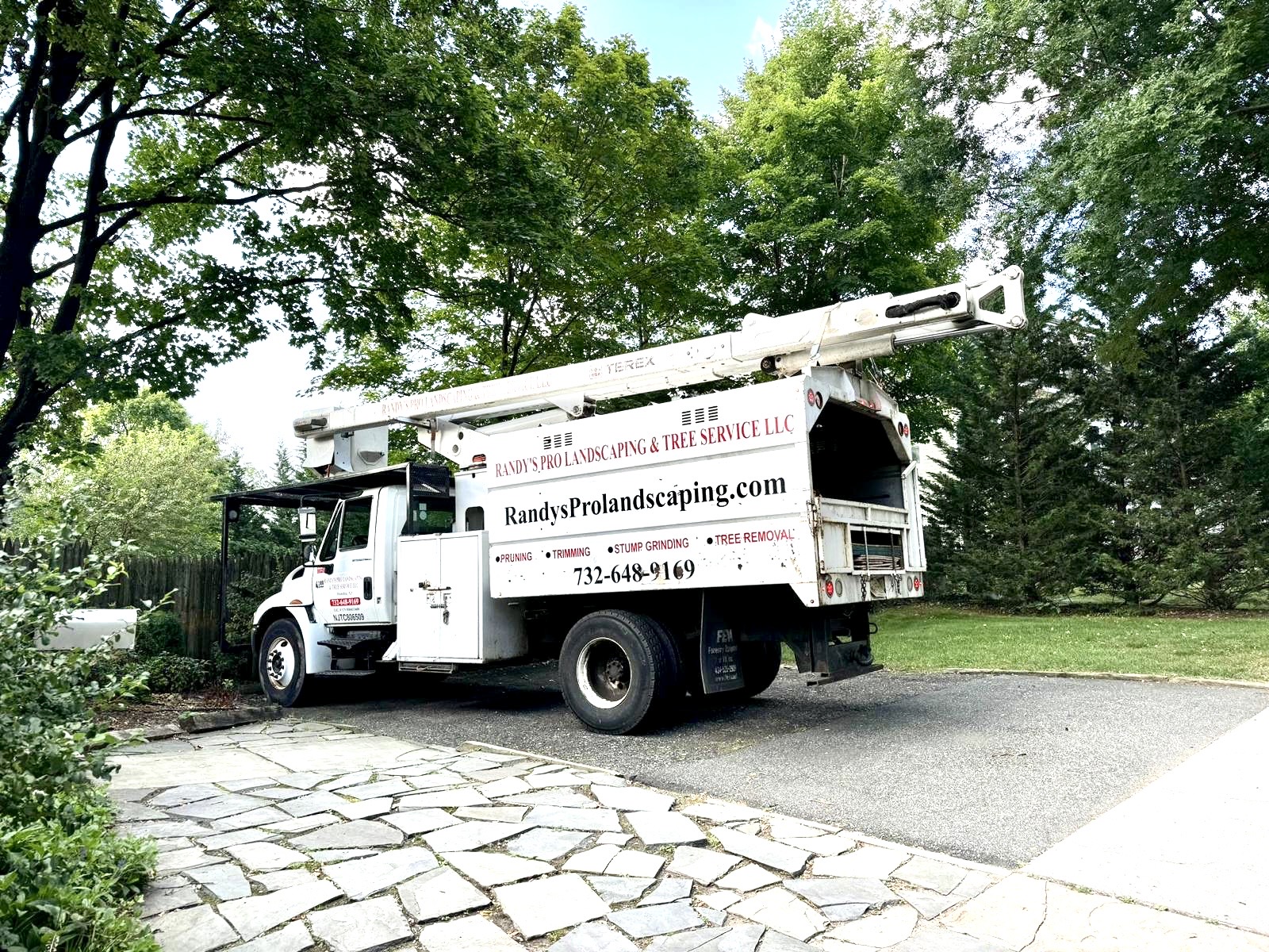 Tree Service Job in Madison