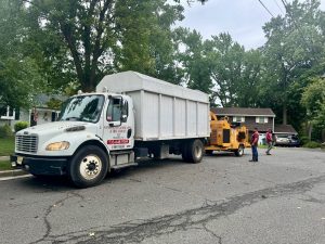 Tree Service Job in Piscataway