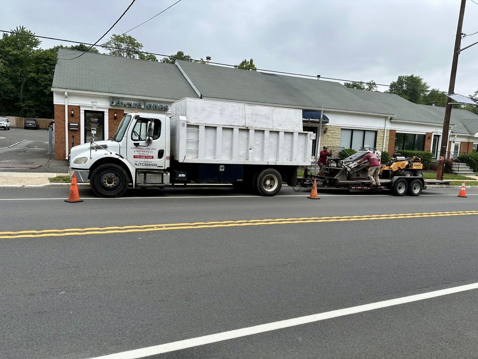 Tree Service Job in Scotch Plains