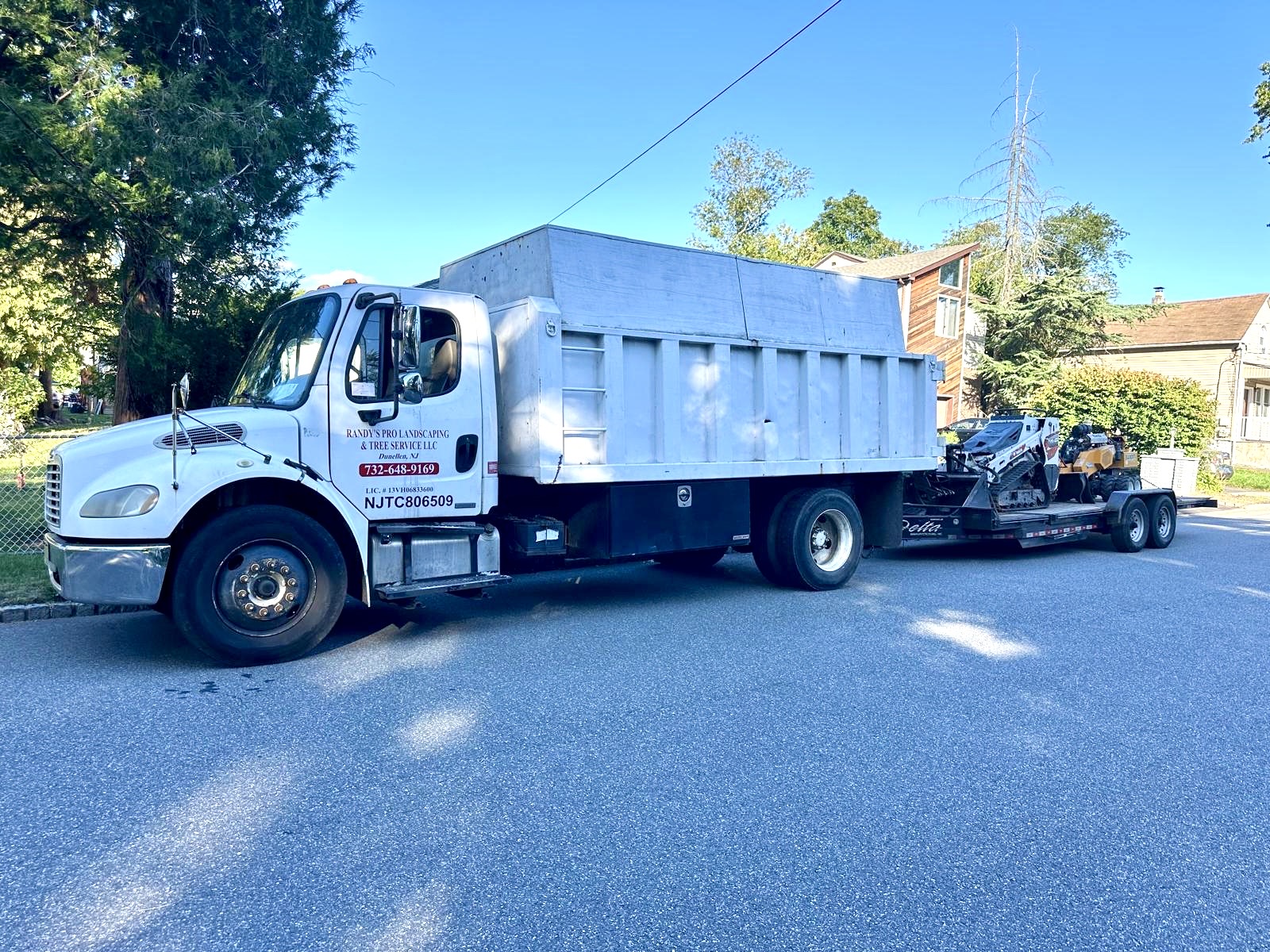 Tree Service Job in Westfield