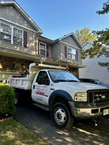 Tree Service Job in Dunellen